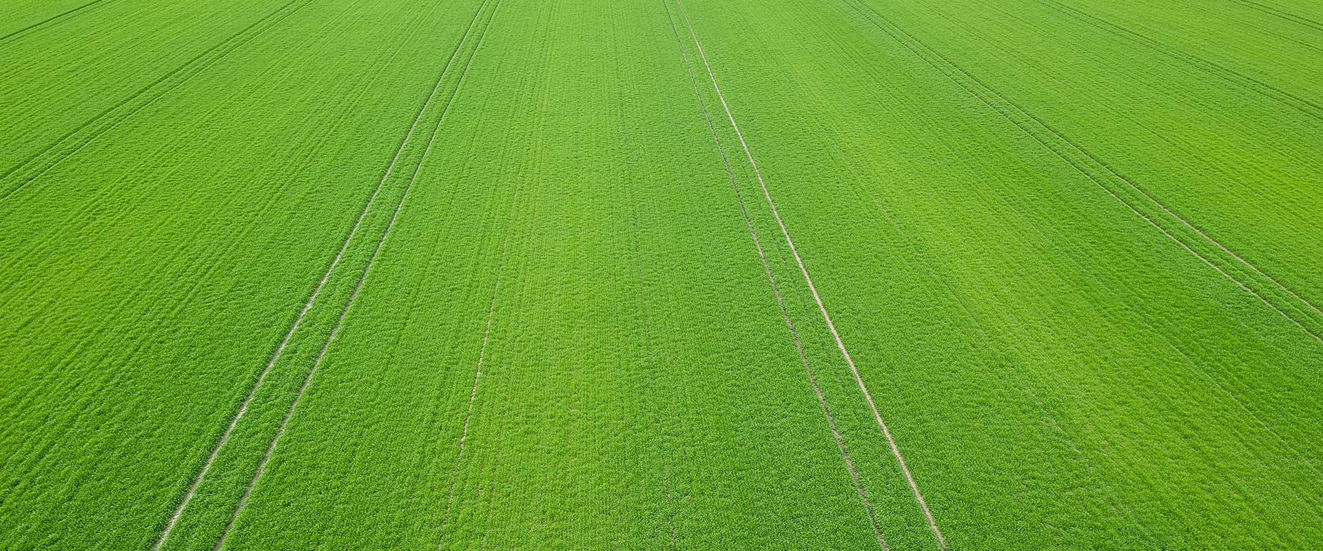 Boeren aan het woord - FarMin