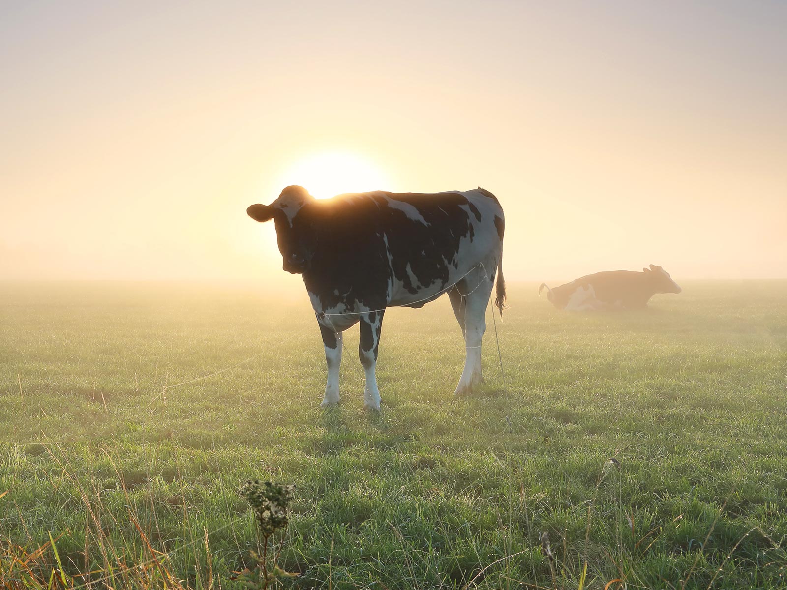 Missie - FarMin