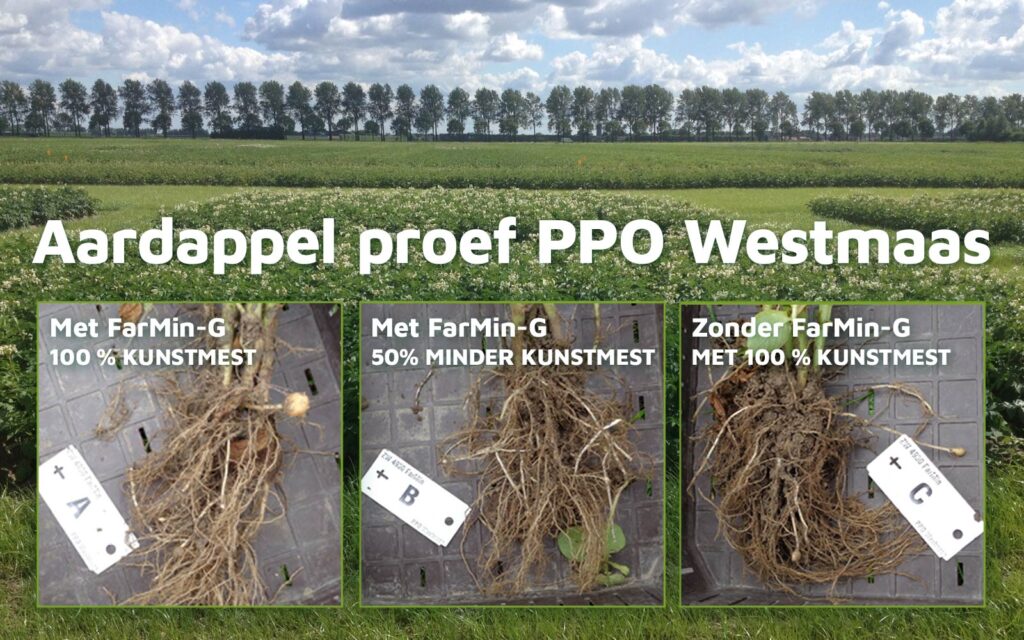farmin-referentie-6-Aardappel-proef-PPO-Westmaas